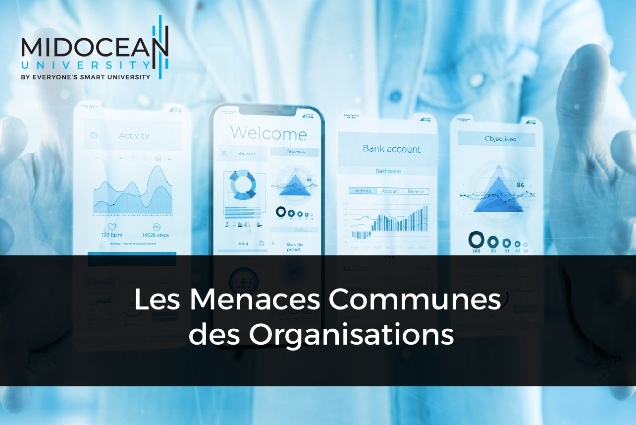 Les Menaces Communes des Organisations